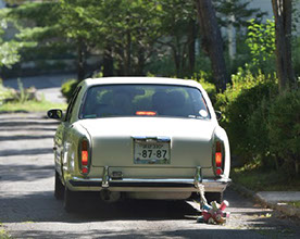 セントブライズの専用ブライダルカー